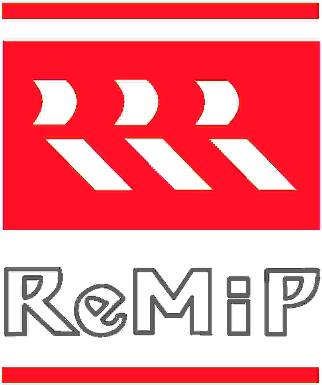 logo-REMIP